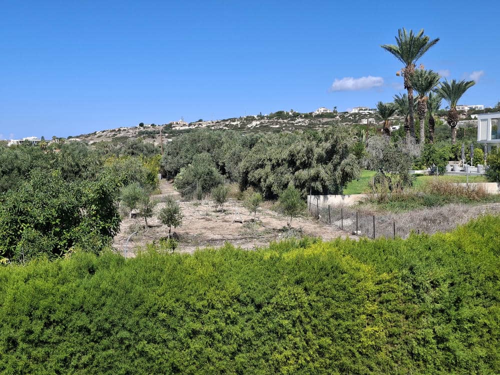 7 Bedroom Villa – Lower Peyia
